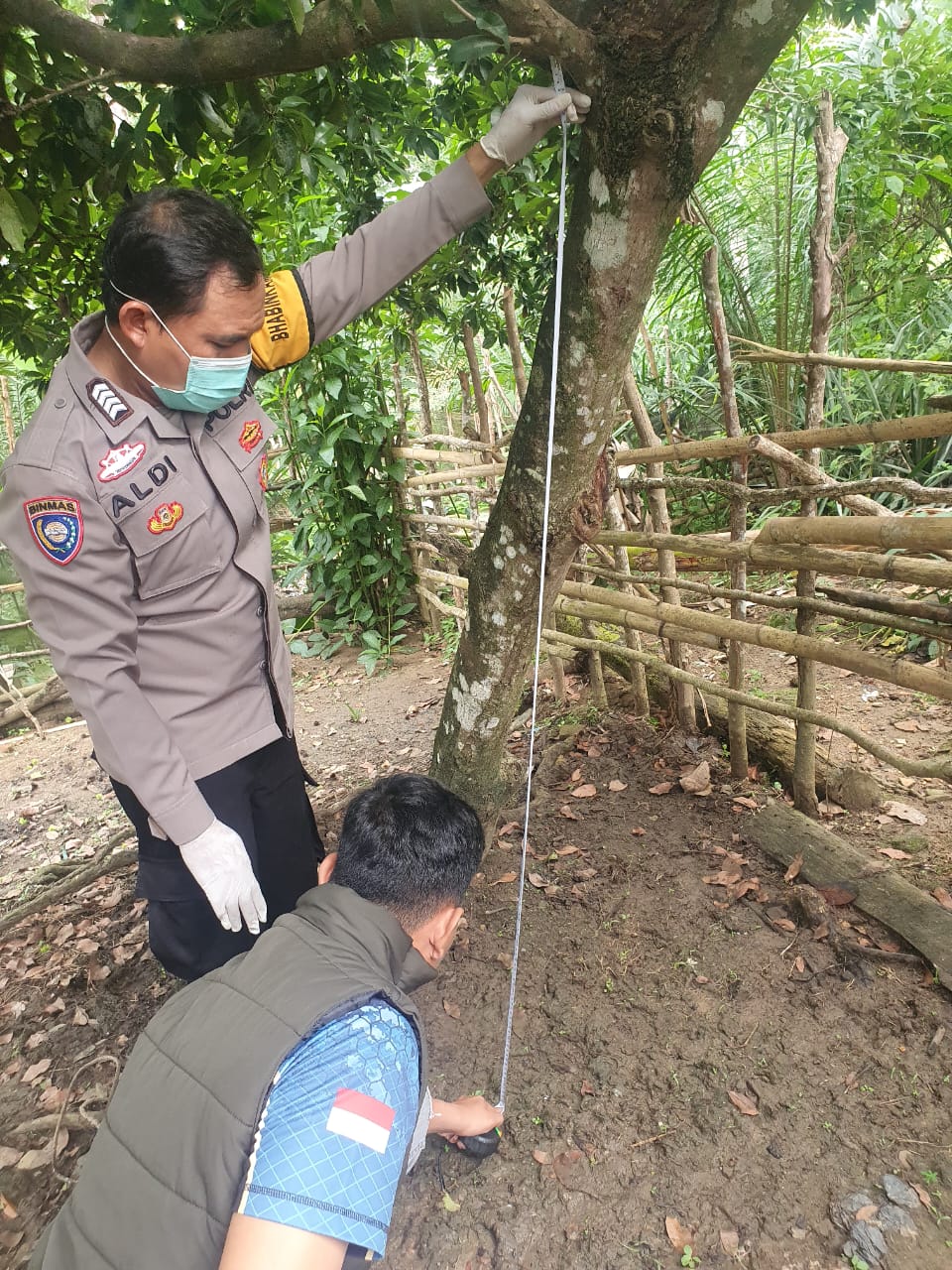 Polsek Jayaloka Polres Musi Rawas Lakukan Identifikasi Jenazah Diduga Gantung Diri di Pohon Sawo