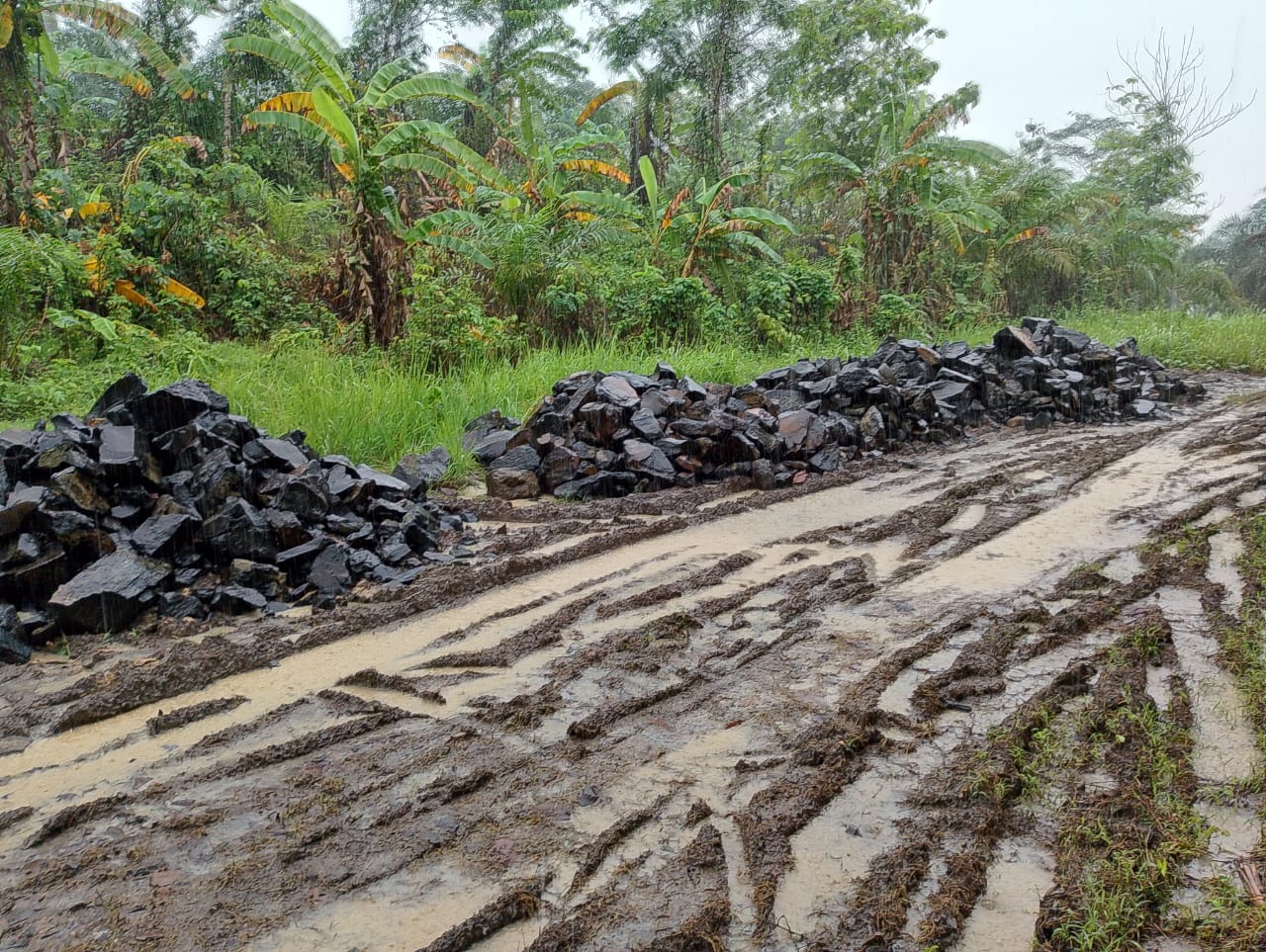 Kelompok Tani Desa Parungkokosan Belum Selesaikan Pembangunan Jut di Akhir Tahun 2024