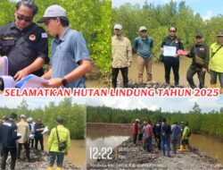 Gakkumhutwil Sulawesi di duga Mulai Tidak Transparan Soal PT WIN, LSM LPMT Sultra: KLHK RI Perlu Minum Obat Tolak Angin