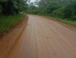 Warga pengguna jalan, geram terhadap aktivitas kendaraan hauling PT.  st. nickel yang menyebabkan jalan poros pondidaha –  amonggedo jadi kotor dan licin.13/07/2025.
